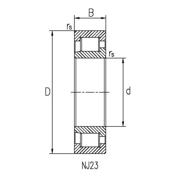 NCF3012V (SL183012) single row full complement roller bearings