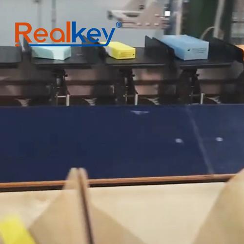 Quality Realkey Tilt Tray Sorter Smart Sorting With Maximum Space Efficiency for sale