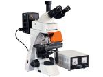 Wide View Field L3001 Epifluorescent Microscope With Transmitted Field
