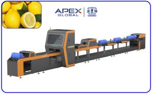 Buy cheap Intelligent Automatic Lemon Sorting Machine 380V / 50Hz product