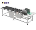 CPG 700 Cardboard Box Feeder Machine Automatic Sheet Feeder Machine