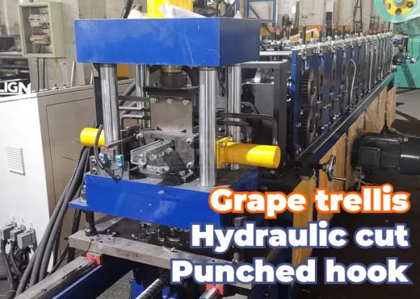 Quality Metal Grape Arbor Profiles Roll Forming Equipment With Precision Punching And Automatic Hydraulic Cutting for sale