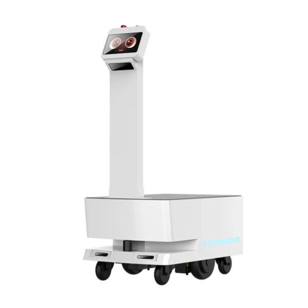 Industrial Logistics Machines Transport Handling Robot CE Certificate