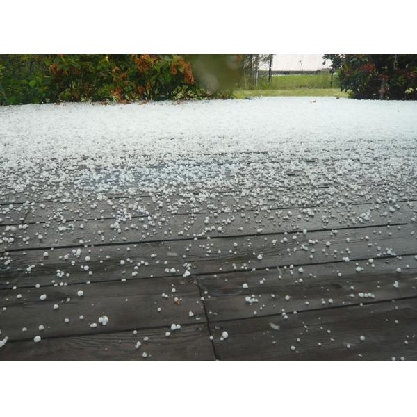 SRCP Raschel Warp Knitting Machine for Anti-Insect Nets