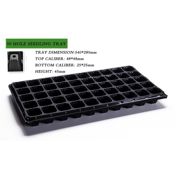105 Holes Rectangular Polystyrene Seed Raising Tray Deep Cell Plug Trays 540X280mm