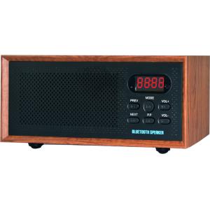 Remote Control Rechargeable Bluetooth Speakers With Powerful Stereo Sound