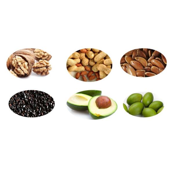 55Kg SS CE Groundnut Oil Filter Machine Edible Oil 50Kg/h