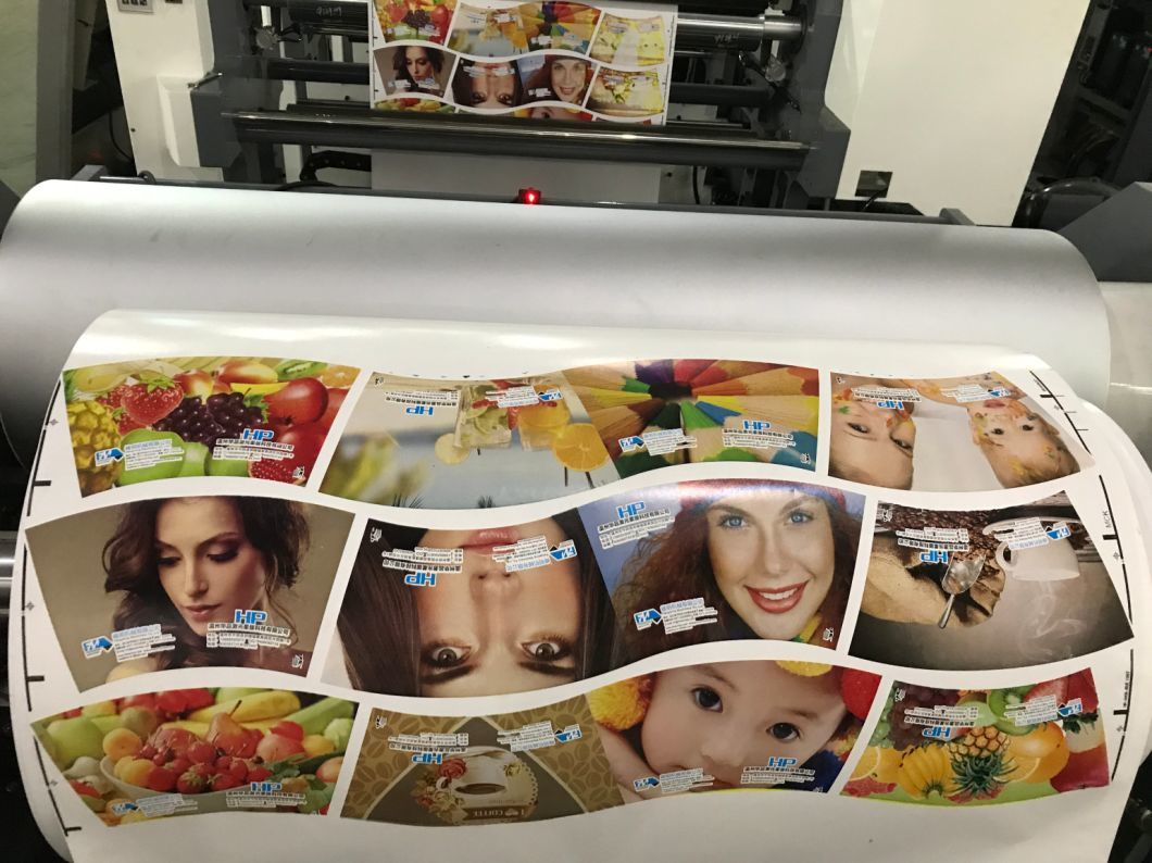 New Manufacturing Flexographic Printing Machine
