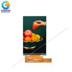 4.3inch Negative Lcd Display 480x800 Resolution Serial Lcd Display Module