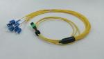 16 Fibers MPO-16 APC (Female) to 8 LC UPC Breakout Patch Cord for 800G to 8x100G