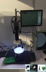 1920 * 1080P HD Microscope Camera , High Resolution Microscope Camera Non