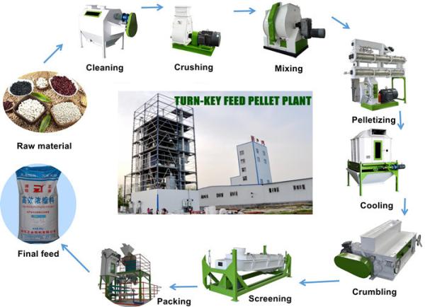 Durable Pet Food Production Line Poultry Food Processing Machine With Classifyin