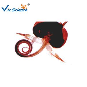 Buy cheap Laboratory Educational 15pcs Microscope Glass Slides product