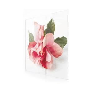 indoor digital board transparent display screen EXCEL LED