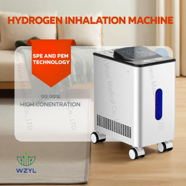 Quality Enhance Metabolism Hydrogen Inhalation Therapy Machine Movable WEIZI for sale