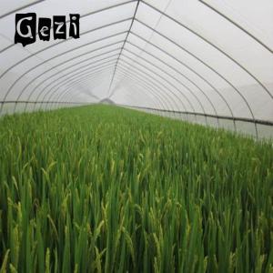 Buy cheap 60 Mesh Insect Mesh Netting 1.3 * 1.3mm Water Resistance For Blocking Light product