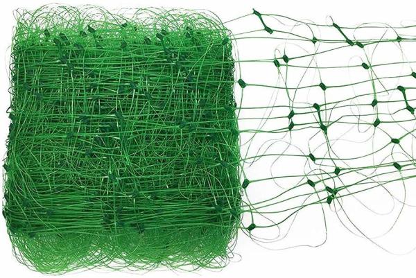 Quality Pp Cast Mesh Size 10cm 15cm 17cm Plant Support Net for sale
