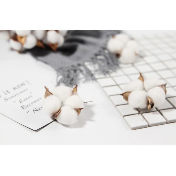 5cm Cotton Dried Flower Bunches