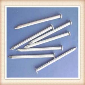 China concrete nail/common nail/nail on sale