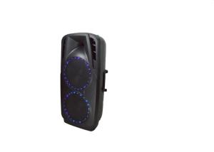 12 Inch Portable Trolley Speaker Big Subwoofer Speaker For Karaoke Player
