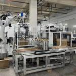 Custom Automatic Bag Inserter Packaging Type With PLC Control System