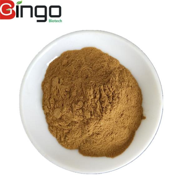 Quality Supply nice quality dandelion extract dandelion root extract 5% flavonoids for the health products field for sale