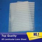 high transparency lenticular sheet lens customized PP material sheet 3d
