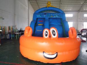 Commercial Grade Inflatable Slide for Sale