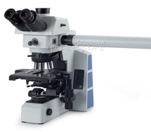 Buy cheap Wild Stereo Multi View Microscope , Trinocular Stereo Zoom Microscope With Digital Camera product