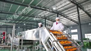 Buy cheap Multi Functional Fruit Juice Making Machine For Washing / Sorting 1500w - 2200w product
