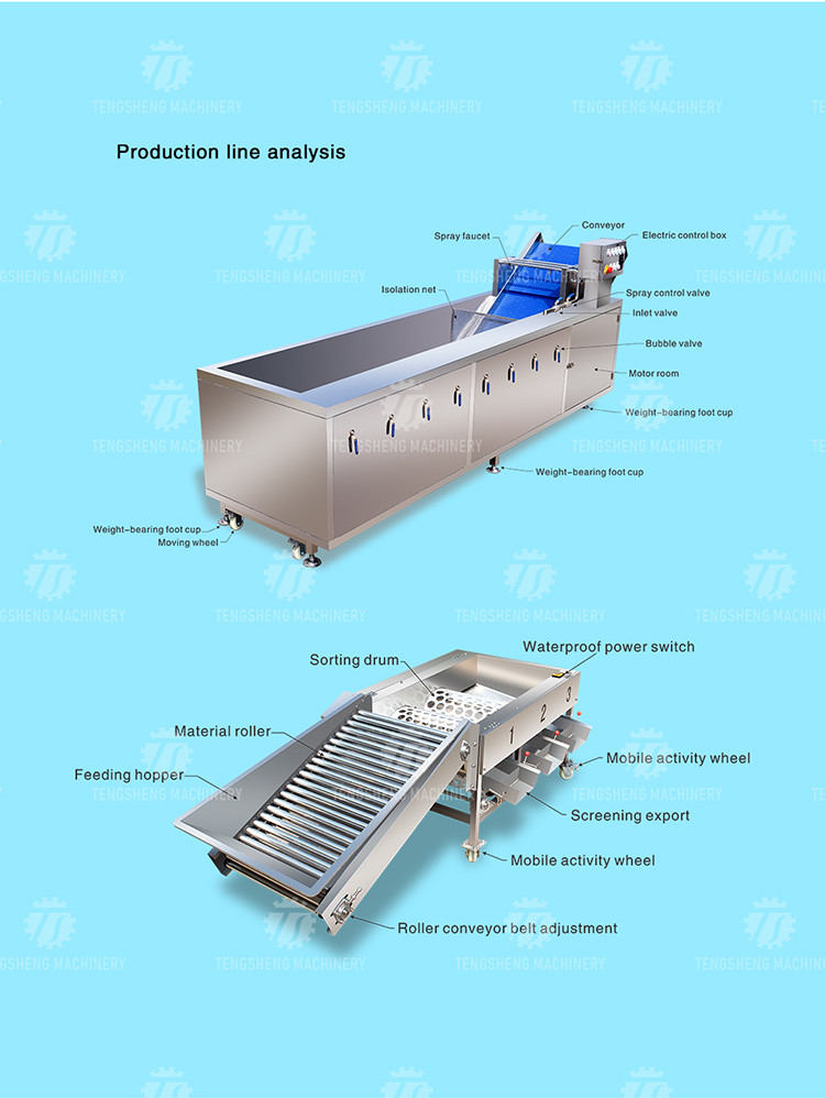Multifunction Fruit And Vegetable Processing Line Automatic Washing And Sorting Machine