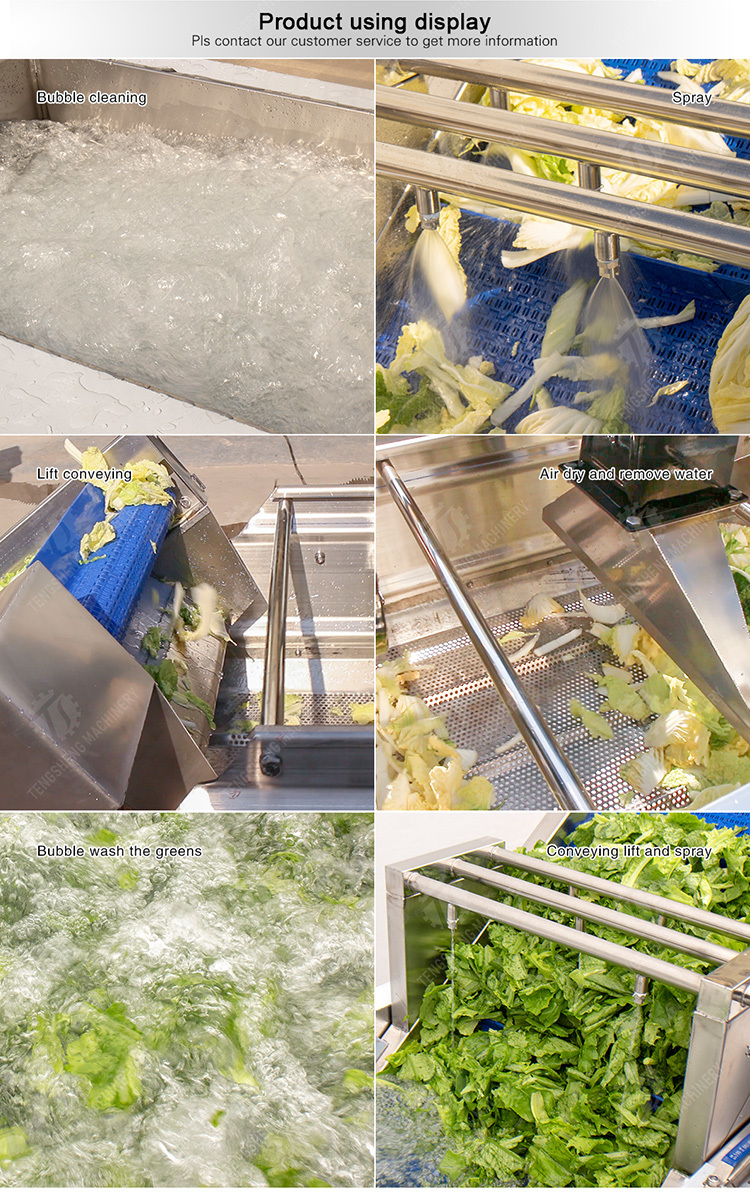 Bubble washing vibration air drying production line Orange Vegetable Herbs Fruit processing production Machine