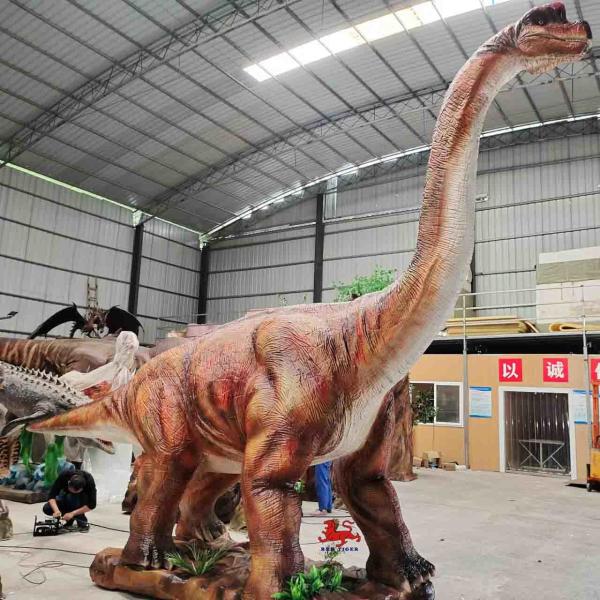 Quality Jurassic World Diplodocus Model Brachiosaurus Model for sale