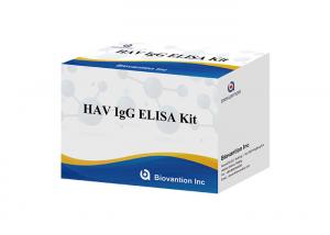 China HAV IgG Elisa Kit Antibody Diagnostic Kit For Hepatitis A Virus on sale