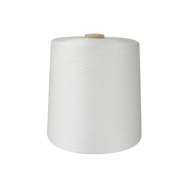 Quality 40/2 20/2 20/3 1.25kg Yarn Raw Material Dyeing 100% Spun Polyester Sewing Thread for sale