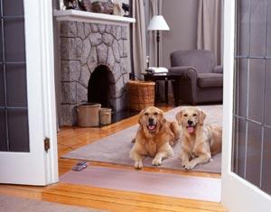 Electric shock toilet training pads dog training pads Sofa training pad