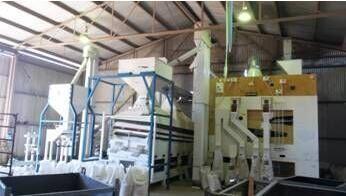 Quality Wheat Seed Complete Processing Plant Making Machine / Production Line for sale