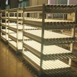 4ft 50 Watt LED Linear Lighting System