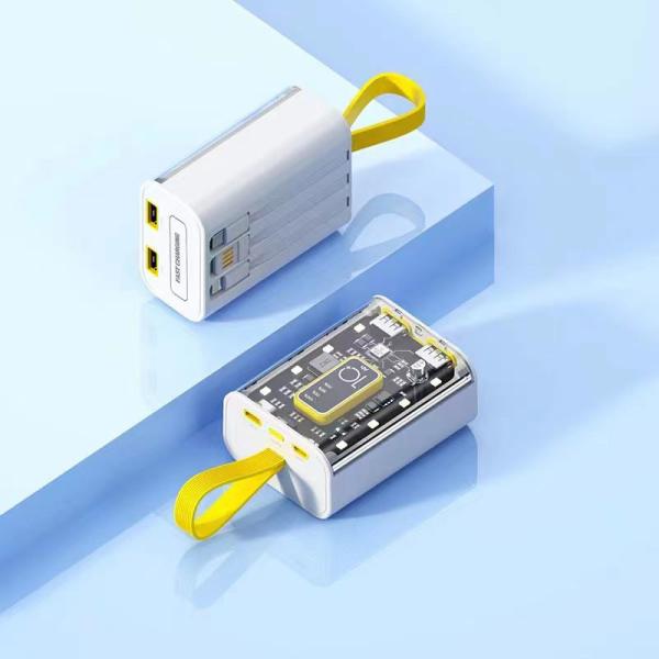 Quality 1 Type C Portable DC Output 1 USB Power Bank Multi Ports Fast Charging for sale