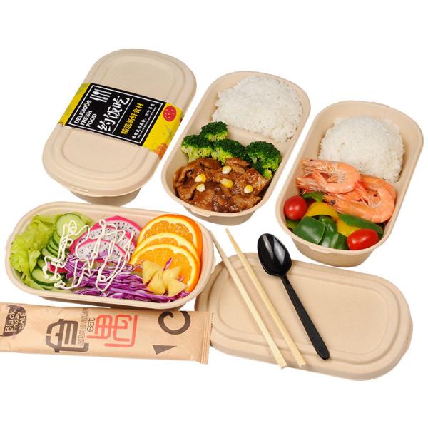 Quality 100% Compostable Food Container Sugarcane Lunch Box Bamboo Storage Boxes & Bins Eco-Friendly Multifunction for sale