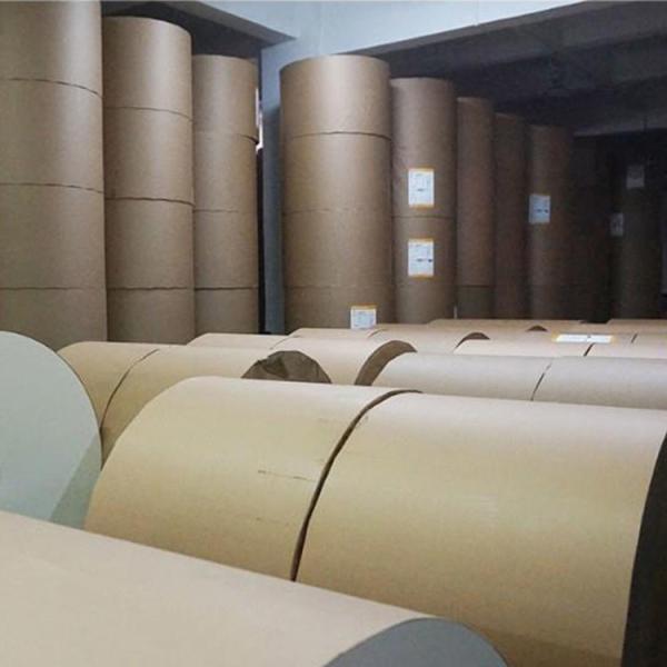Quality Pe Coated Paper Cup Raw Material Eco Friendly Food PE Paper Roll for sale