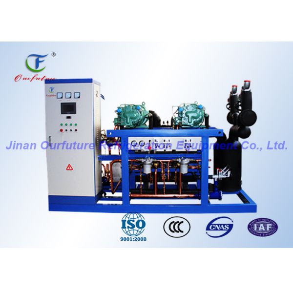 Energy saving Pharacy Cold Room Screw Compressor Unit With PLC safety auto control