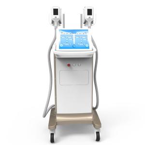 China fat reduction laser treatment stomach reduction without surgery cryolipolysis slimming machine on sale
