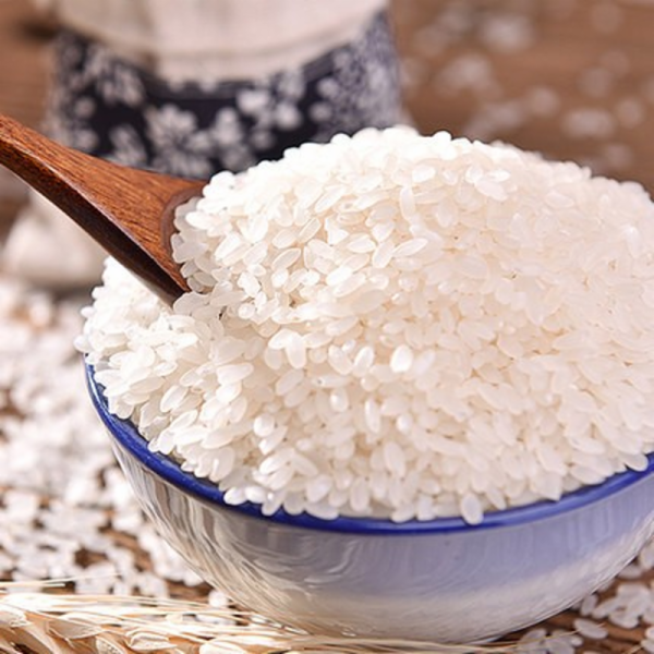 Rice Protein Powder close-up showing fine powder texture