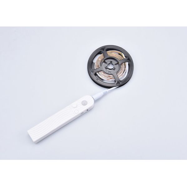 CE DC5V USB 4AAA 1m Ws2812b LED Light Strip Sensor