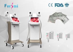 3 handles  Fat Reduction Cool Sclupting Slimming Technology  for beauty spa to reduce fat cells