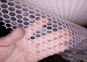 Wear Resisting 10X10mm 900g/m2 Polyethylene Mesh Netting