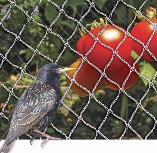 Quality PE Woven Anti Bird Net , Bird Proof Netting 100% New HDPE Material for sale