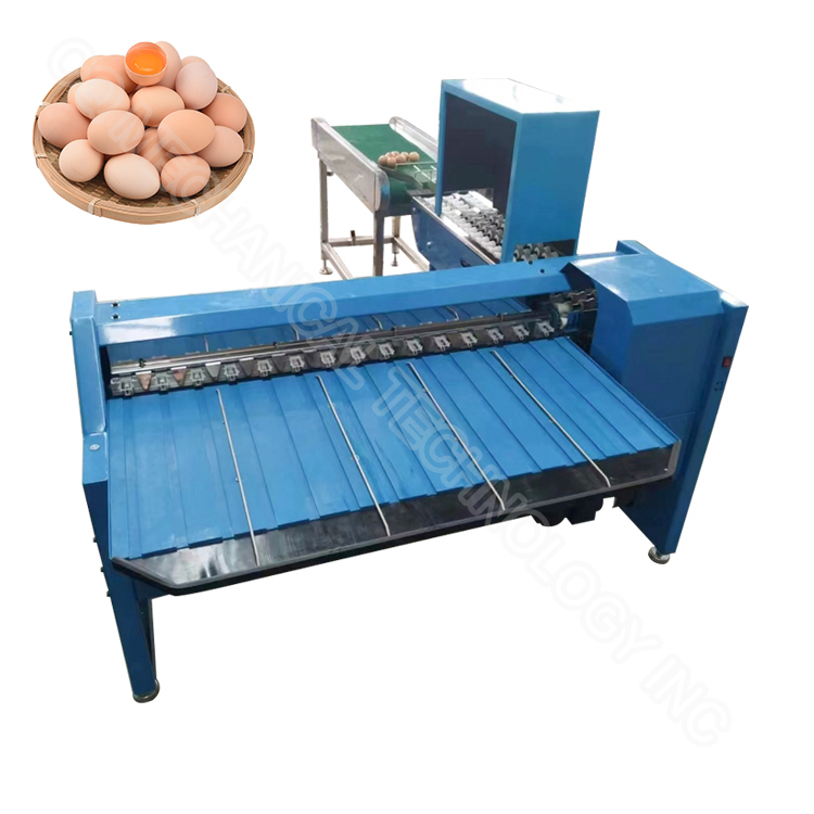 Egg Grade Machine Egg Sort Machine Egg Grader Egg Grader Machine