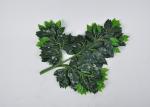 Real Touch Smooth Single Branch Artificial Ficus Tree Branches